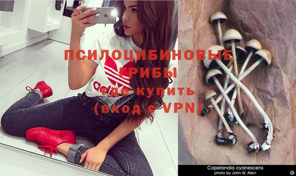 марки nbome Абаза