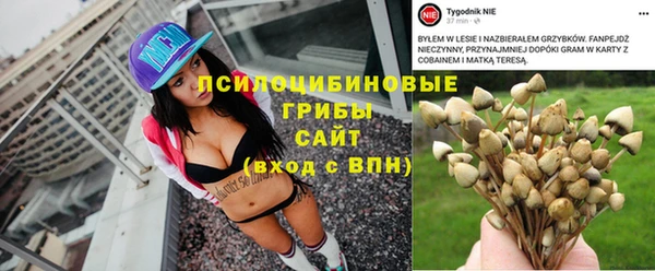 трава Абдулино