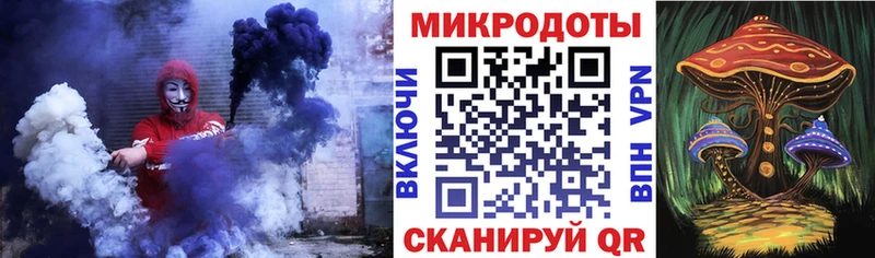 Галлюциногенные грибы Psilocybe Калачинск